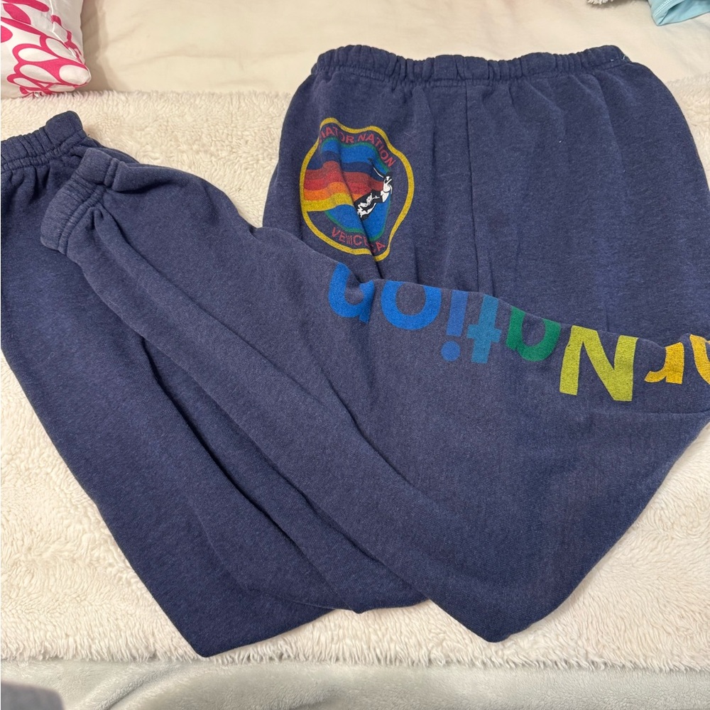 Navy size small aviator nation sweatpants great condition